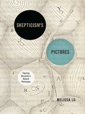 cover image of Skepticism's Pictures